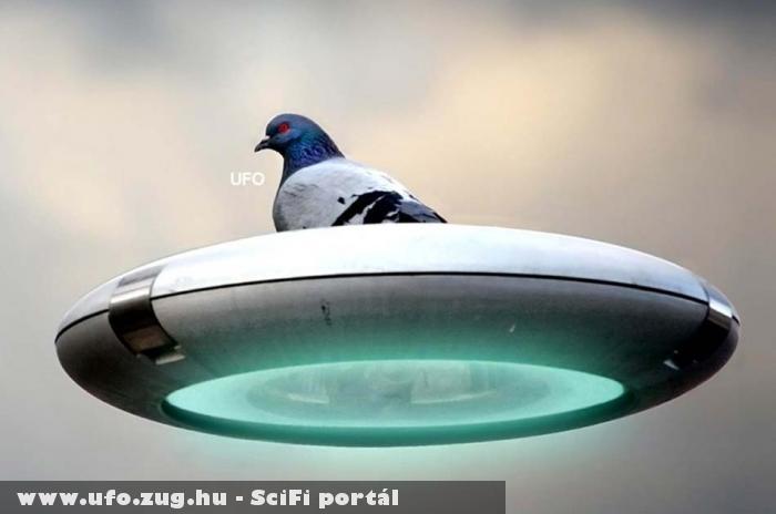 Ufo Bird