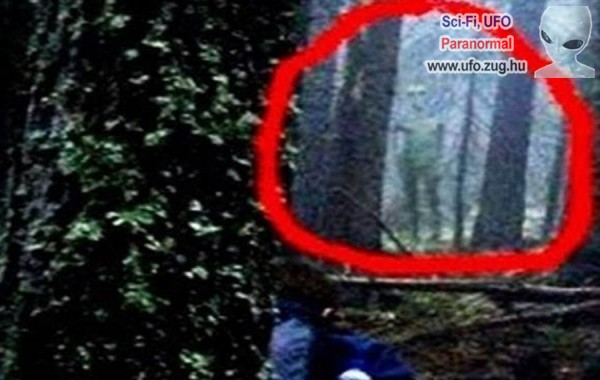 UFO-t fényképeztek egy bulgáriai erdőben