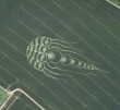Gabonakör a Google Earth felvételén